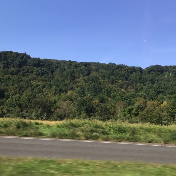 Meet your Posher, Yuval - Picture 1 of 1